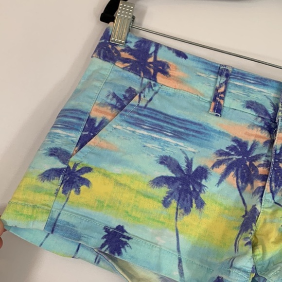 American Eagle Summer Sunset Palm Tree Shorts - Picture 3 of 7